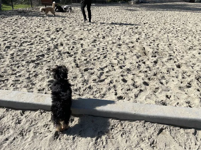 Golden Gate Park Dog Training Area 10