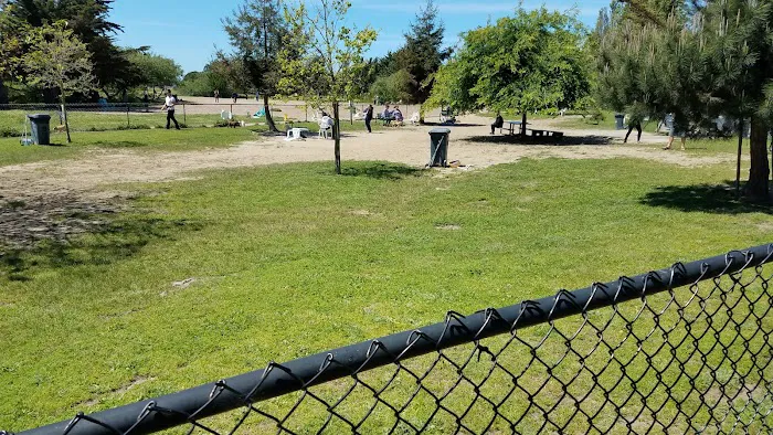 Alameda Dog Park 7