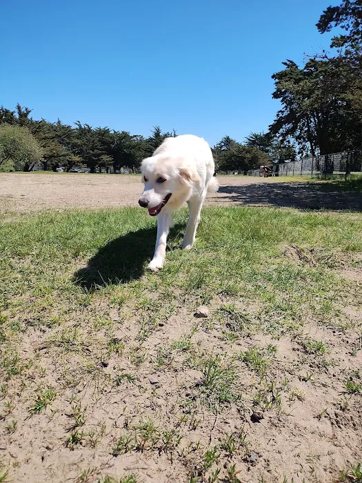 Alameda Dog Park 5
