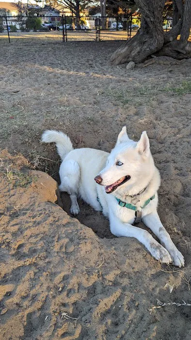 Alameda Dog Park 4