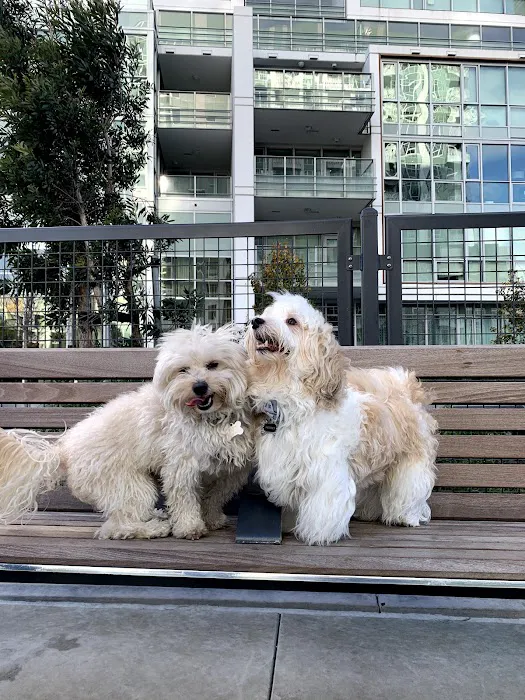 Channel Street Dog Park 9