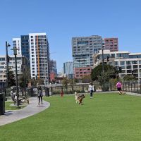 Channel Street Dog Park ico