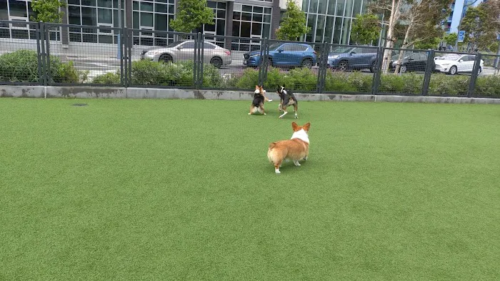 Channel Street Dog Park 4