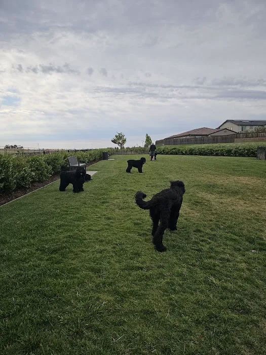 Gene Birk Dog Park 4