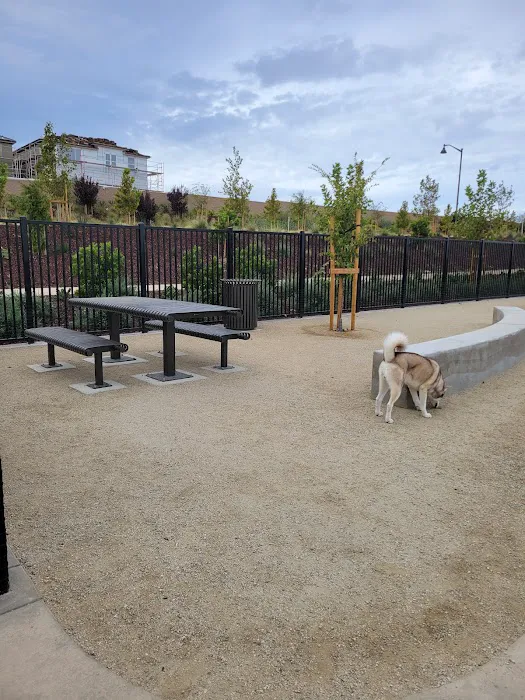 Gene Birk Dog Park 10