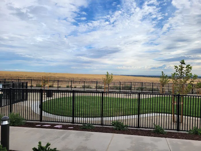 Gene Birk Dog Park 7