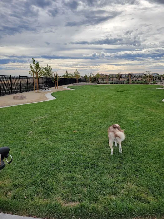 Gene Birk Dog Park 5