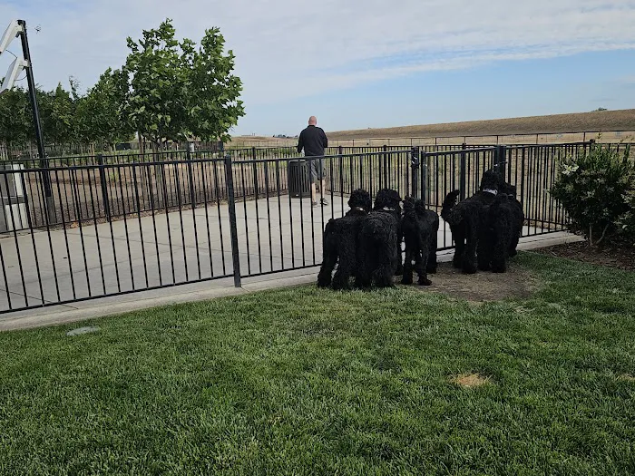 Gene Birk Dog Park 1