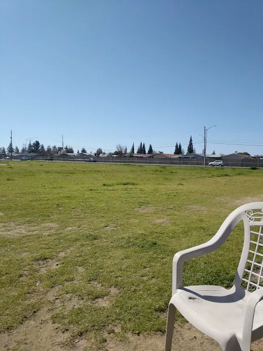 Dog Park 7