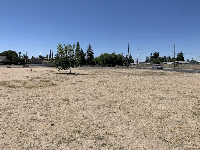 Dog Park 4