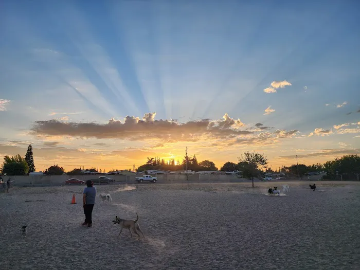 Dog Park 2