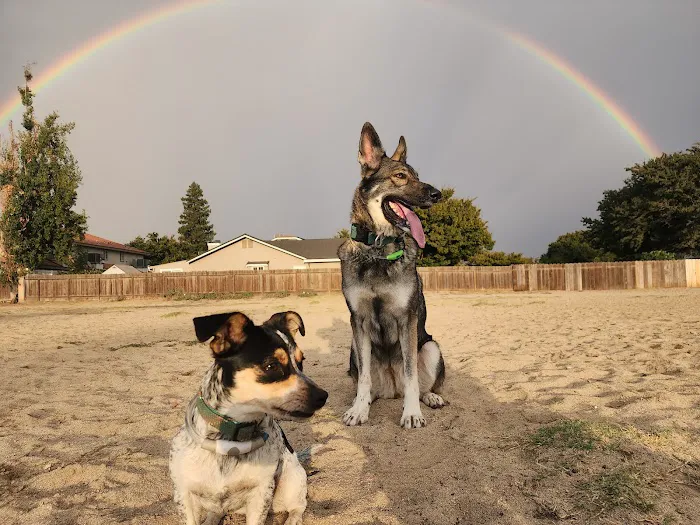 Dog Park 1