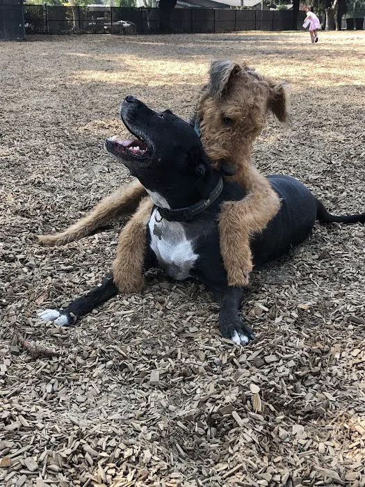 Elk Park / Modesto Dog Park 4
