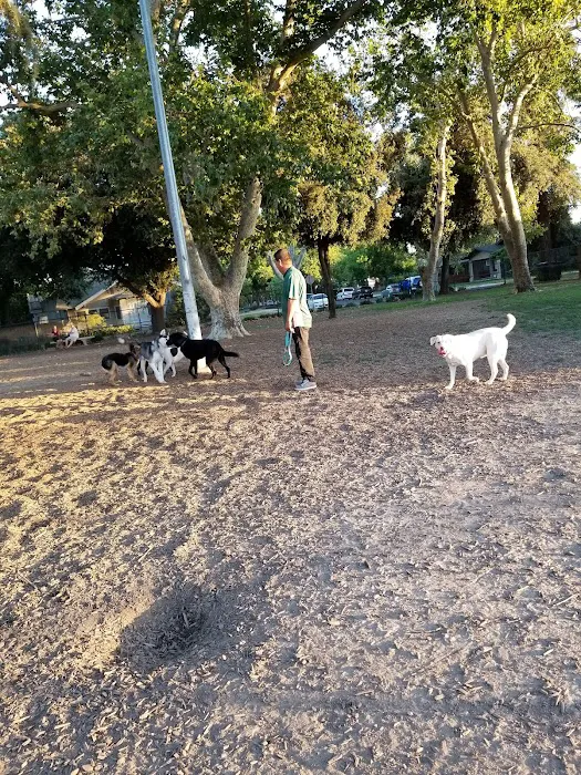 Elk Park / Modesto Dog Park 3