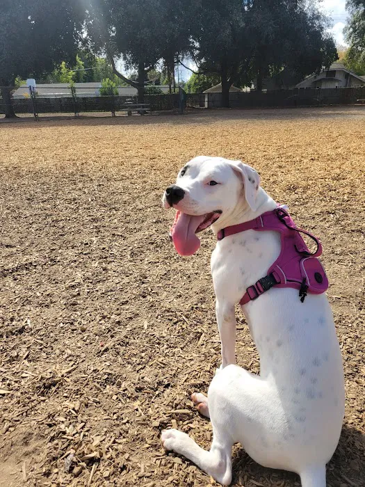 Elk Park / Modesto Dog Park 1