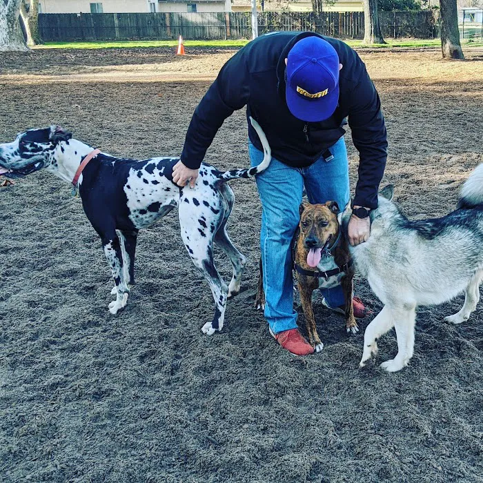 Elk Park / Modesto Dog Park 9