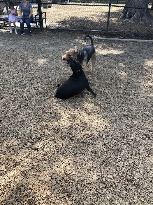 Elk Park / Modesto Dog Park 5