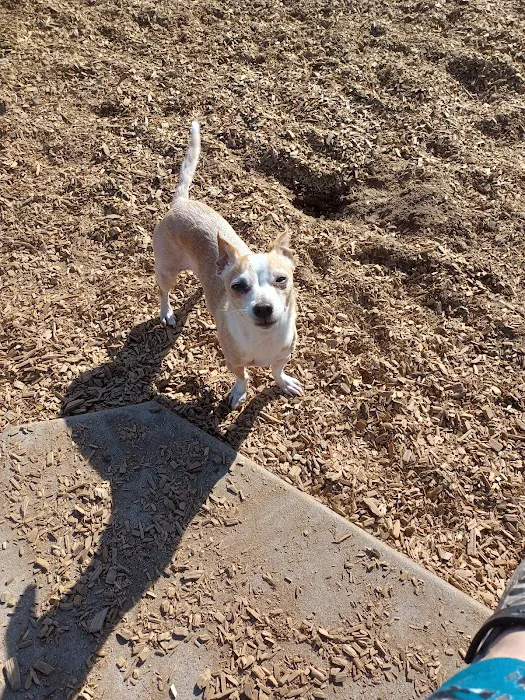 Elk Park / Modesto Dog Park 7