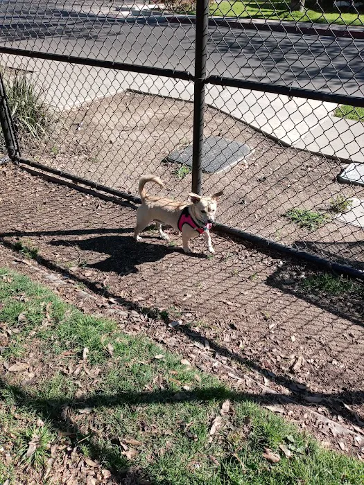 Elk Park / Modesto Dog Park 10