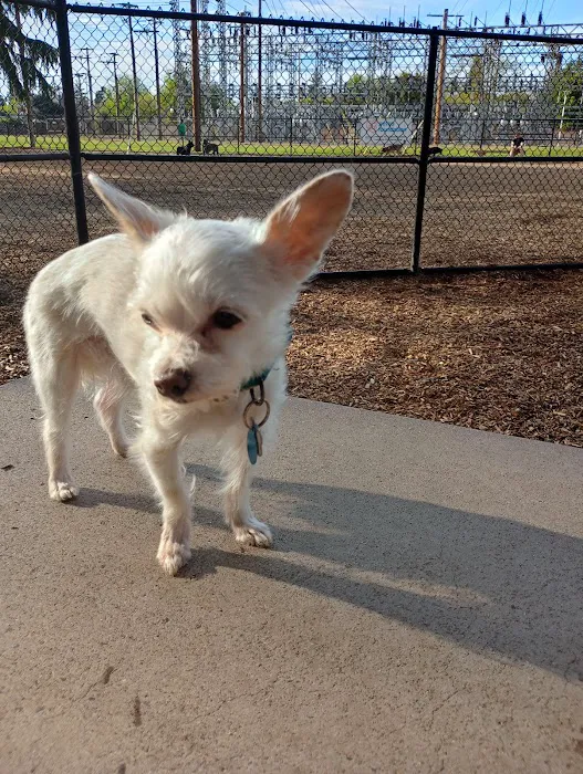 Elk Park / Modesto Dog Park 6