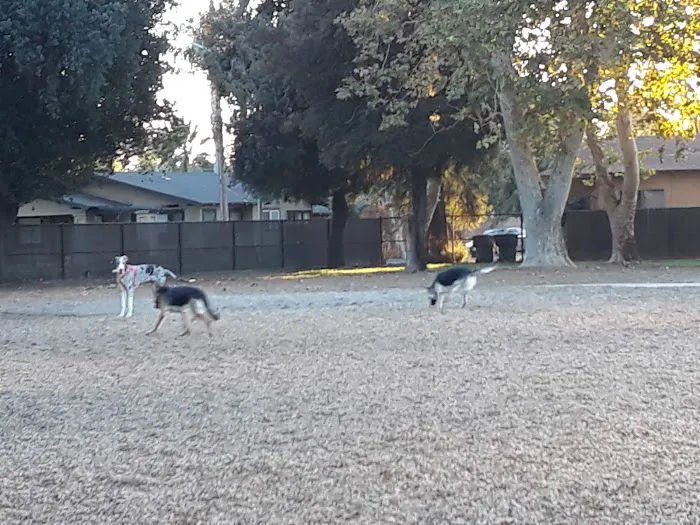 Modesto's First Dog Park 5