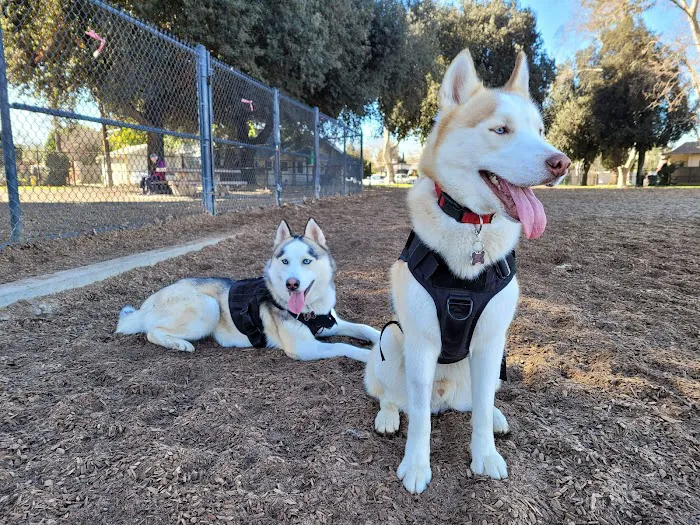 Modesto's First Dog Park 10