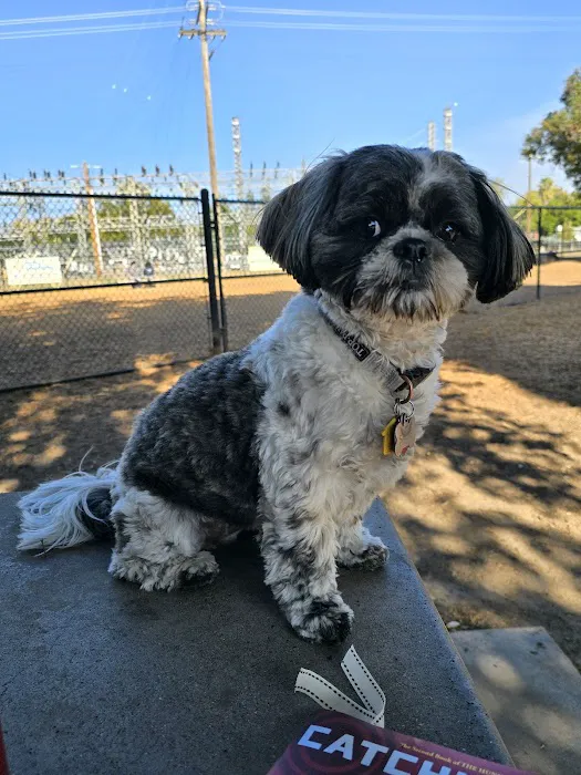 Modesto's First Dog Park 1