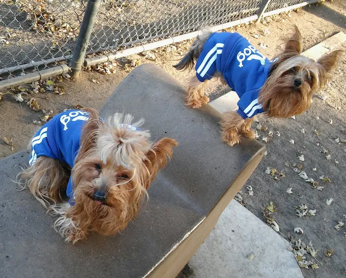 Modesto's First Dog Park 8