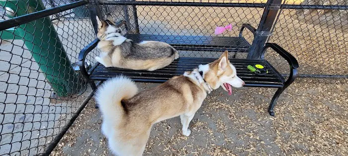 Modesto's First Dog Park 4