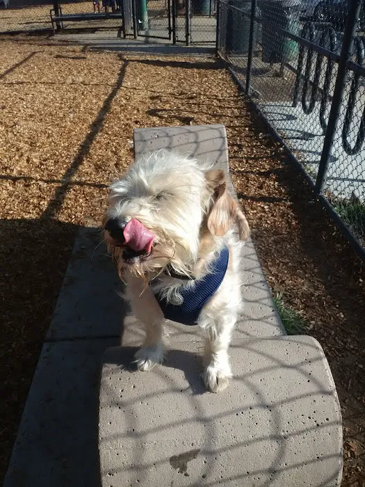 Modesto's First Dog Park 7