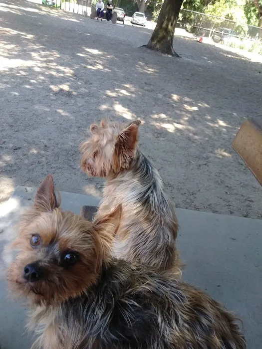 Modesto's First Dog Park 9