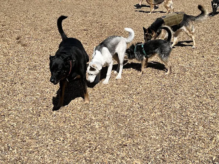 Modesto's First Dog Park 2