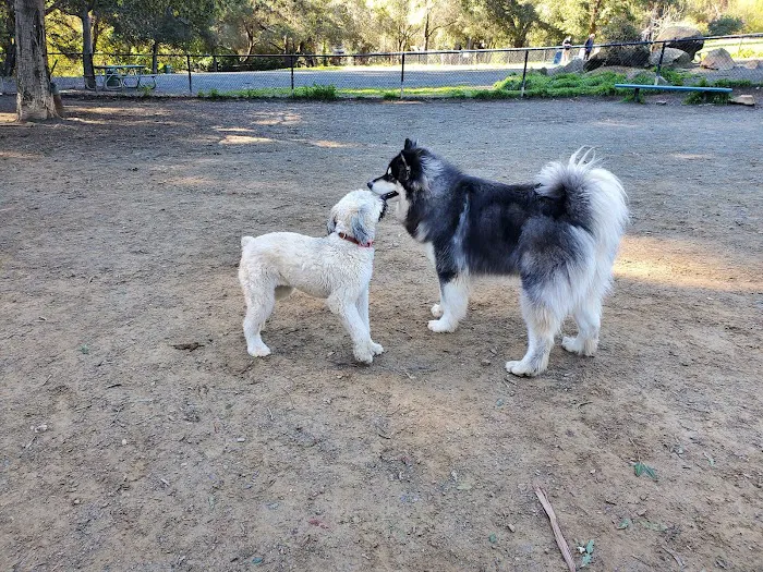 Earl Warren Dog Park 9