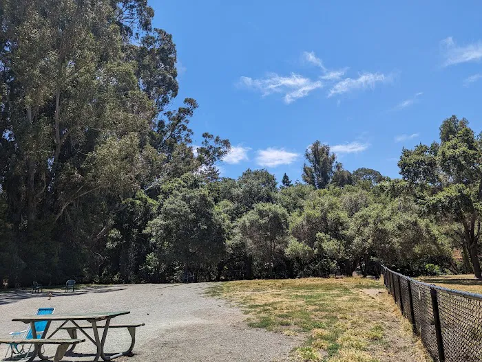 Earl Warren Dog Park 4