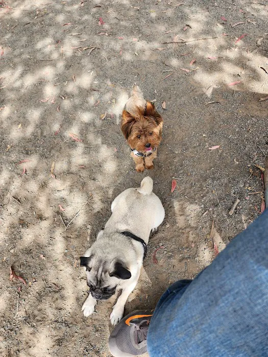 Earl Warren Dog Park 1