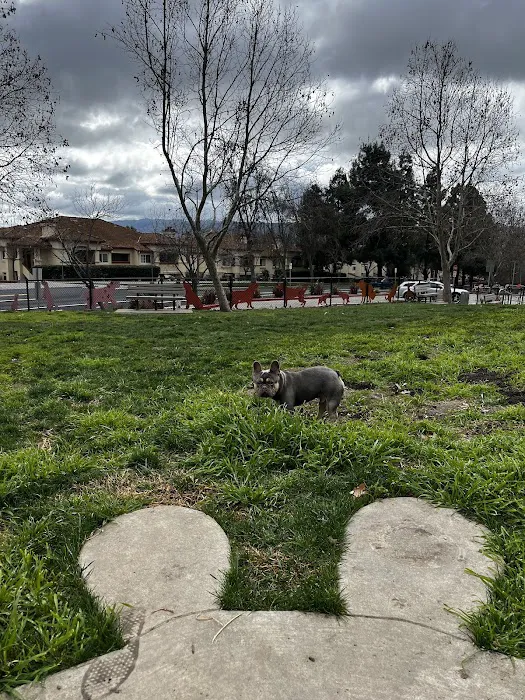 Dougherty Hills Dog Park 5