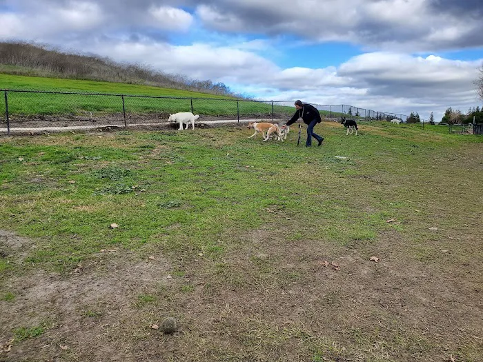 Dougherty Hills Dog Park 7