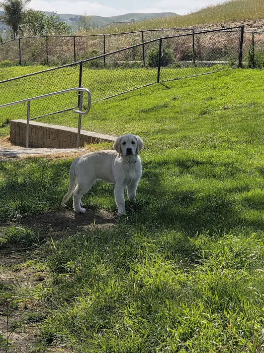 Dougherty Hills Dog Park 8