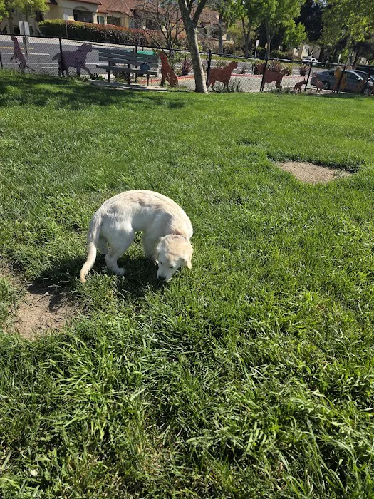 Dougherty Hills Dog Park 1