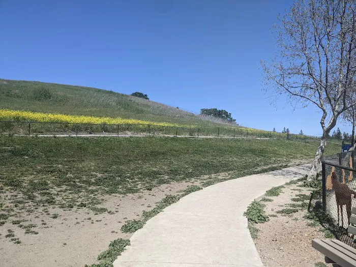 Dougherty Hills Dog Park 10