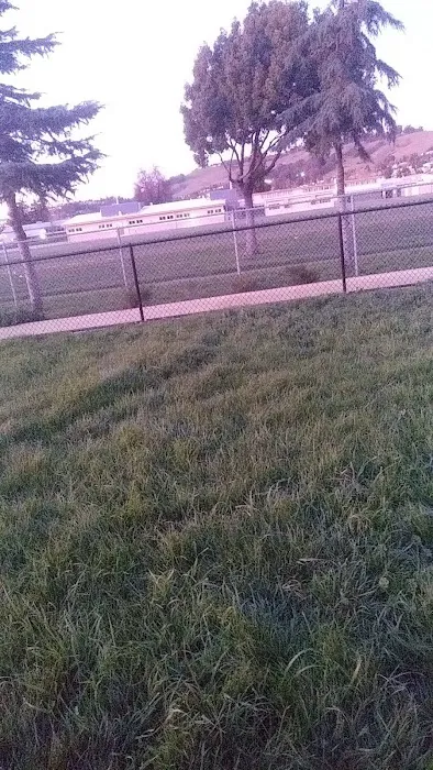 Edendale Dog Park 2