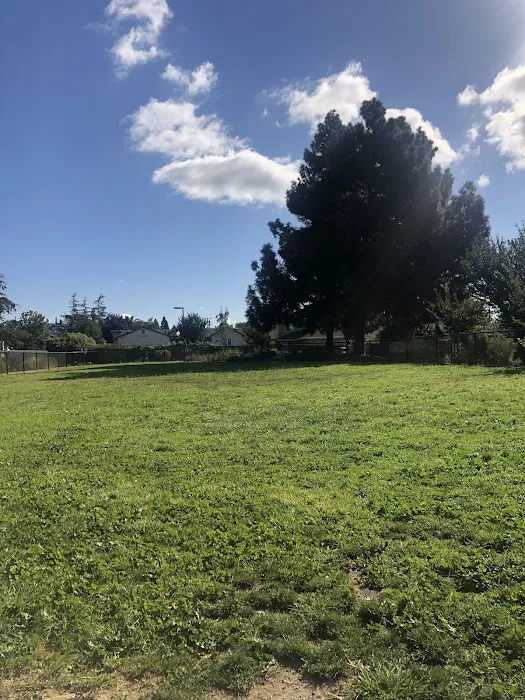 Edendale Dog Park 8