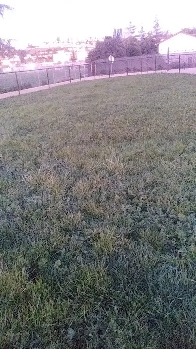 Edendale Dog Park 1