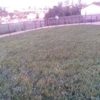 Edendale Dog Park ico