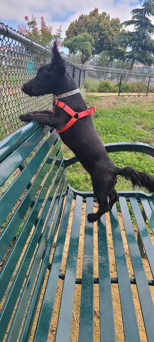 Edendale Dog Park 3