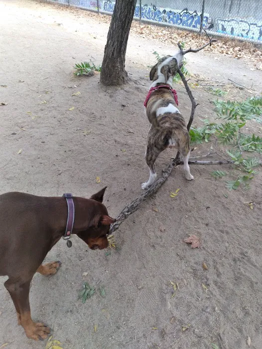 Old Creek Dog Park of Cherryland 2