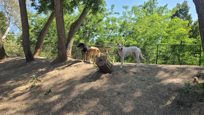 Old Creek Dog Park of Cherryland 4