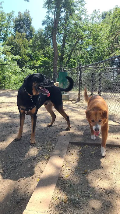 Old Creek Dog Park of Cherryland 5