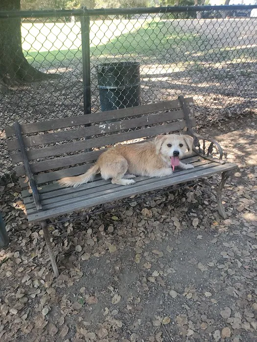 Old Creek Dog Park of Cherryland 3