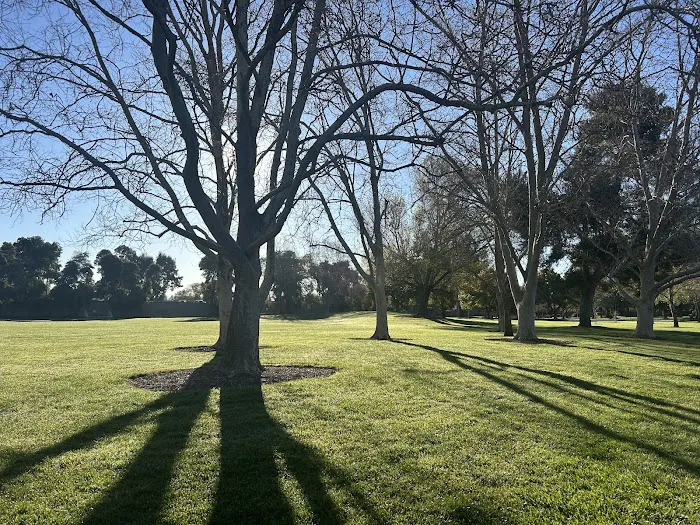 Dog Park for smaller dogs 2